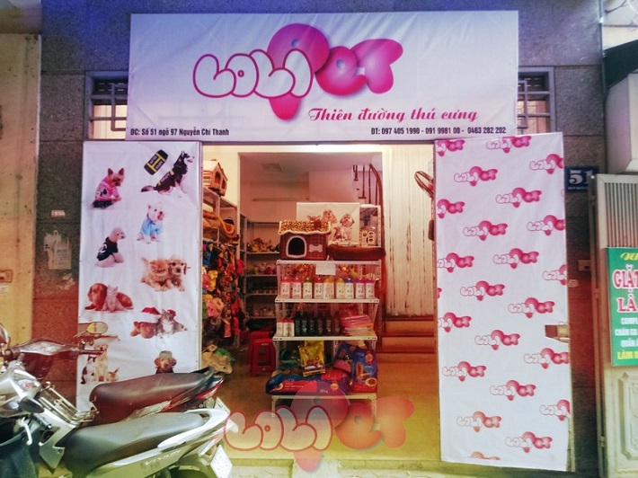 Shop bán mèo cảnh TPHCM - Lolipet | Nguồn từ trang dogparadise.vn