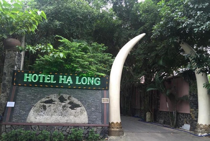 Khách sạn giá rẻ Thủ Đức - Hạ Long