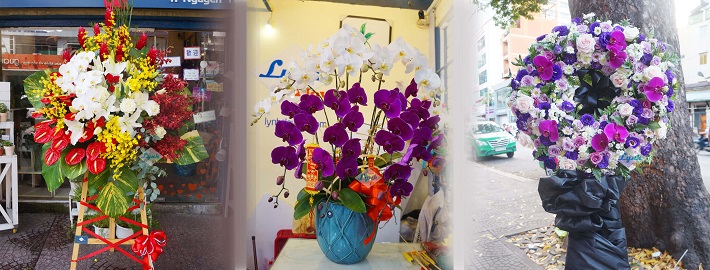 Cửa hàng hoa phong lan - Thứ năm