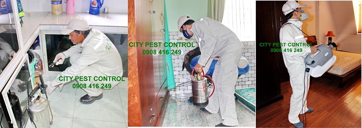 Công Ty TNHH CITY PEST CONTROL