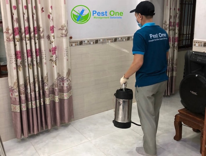 Công Ty diệt muỗi Pest one