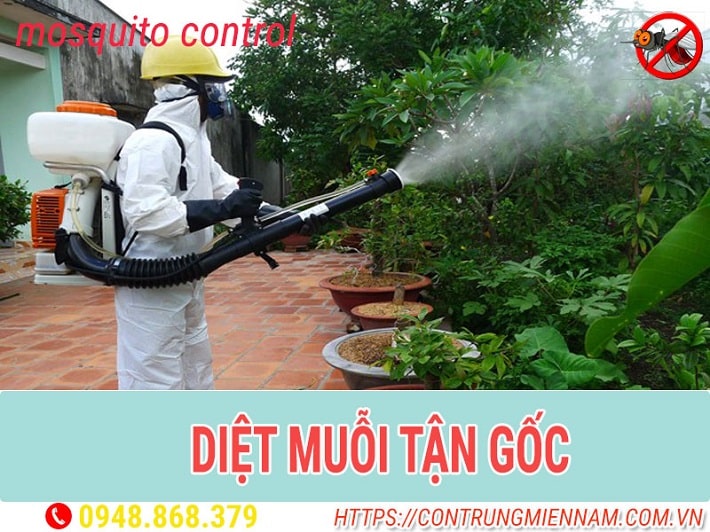 Diệt muỗi và Côn trùng Thái Dương