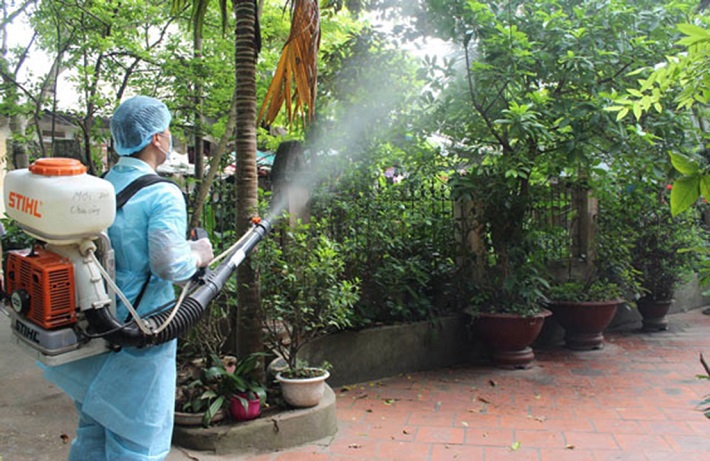 Diệt muỗi tại Đà Nẵng Thăng Long