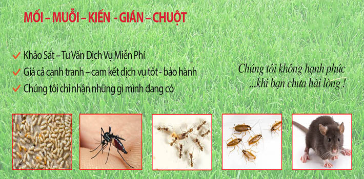 Diệt côn trùng tại Hà Nội - Diệt côn trùng Sơn Hà