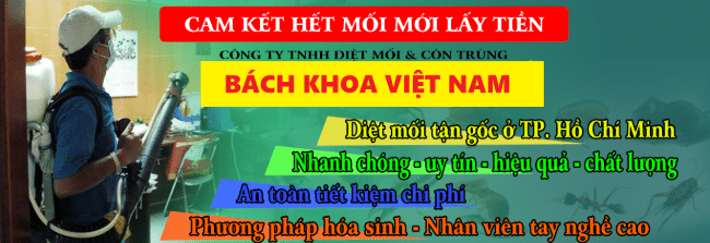 Công ty diệt mối Bách Khoa