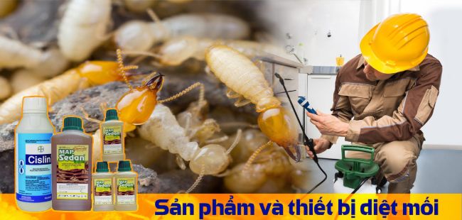 Công ty diệt mối Thăng Long