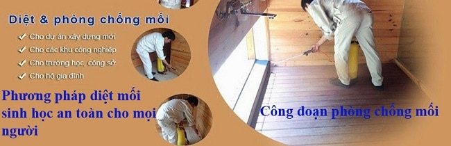 Công ty diệt mối Thành Sinh