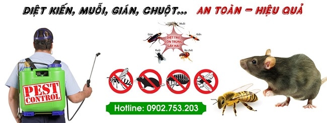 Công ty diệt mối Anh Thư