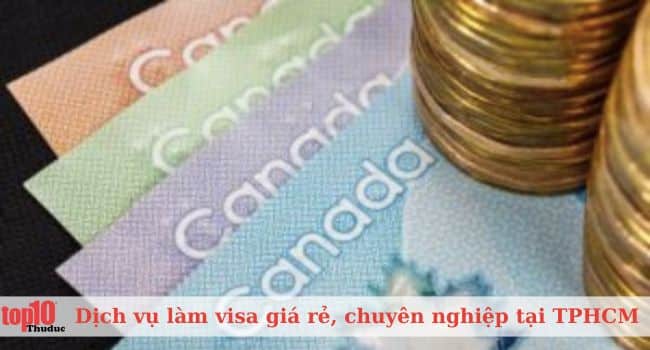 Công ty TNHH Visa Năm Châu