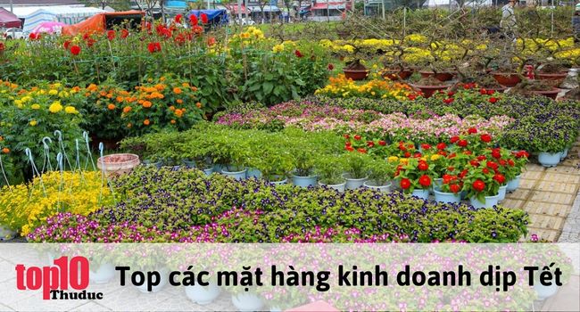 Hoa tươi và cây cảnh là mặt hàng hot bán chạy vào dịp Tết | Nguồn: Internet