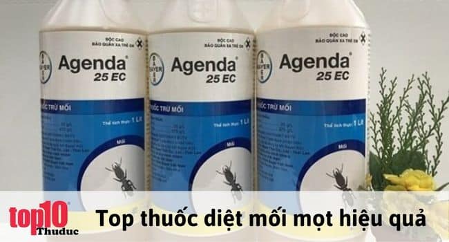 Thuốc xịt diệt mối mọt Agenda 25ec tận gốc | Nguồn: Internet